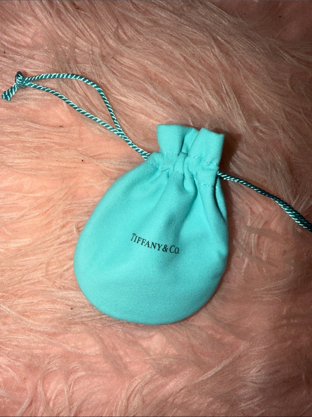 Tiffany & Co. Robin's Egg Blue Velvet Drawstring Pouch